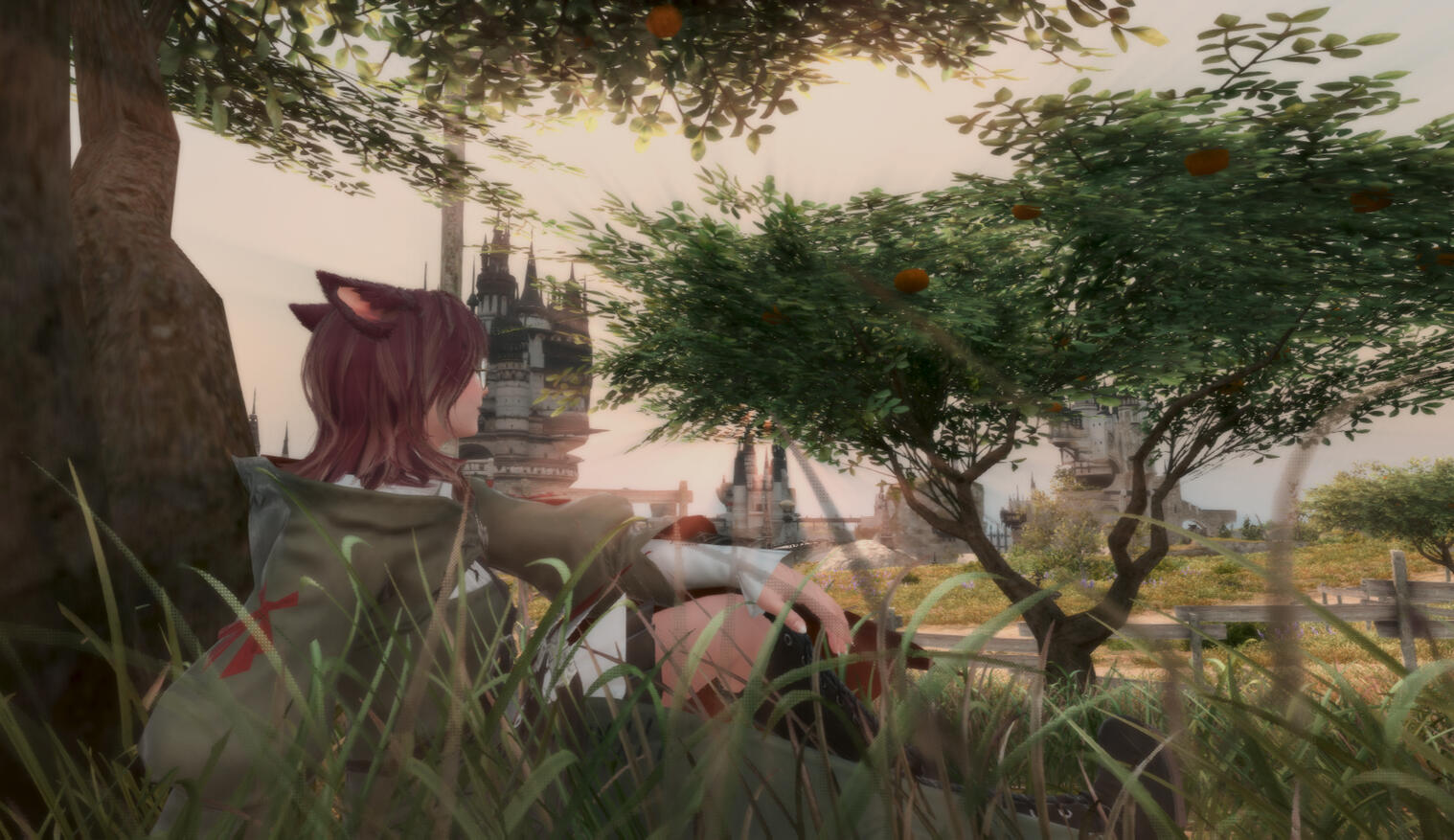 Under her favorite La Noscean orange tree